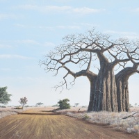 Baobab