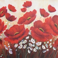 Poppies
